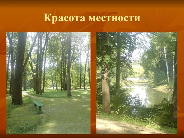 Красота местности