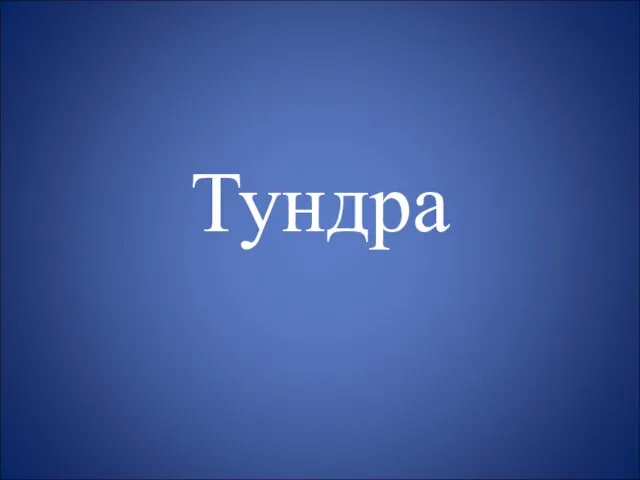 Тундра