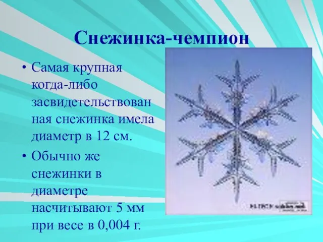 Снежинка-чемпион Самая крупная когда-либо засвидетельствованная снежинка имела диаметр в 12 см. Обычно