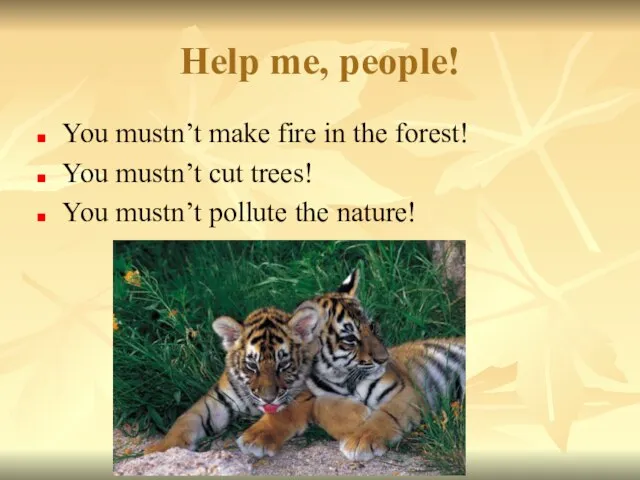 Help me, people! You mustn’t make fire in the forest! You mustn’t