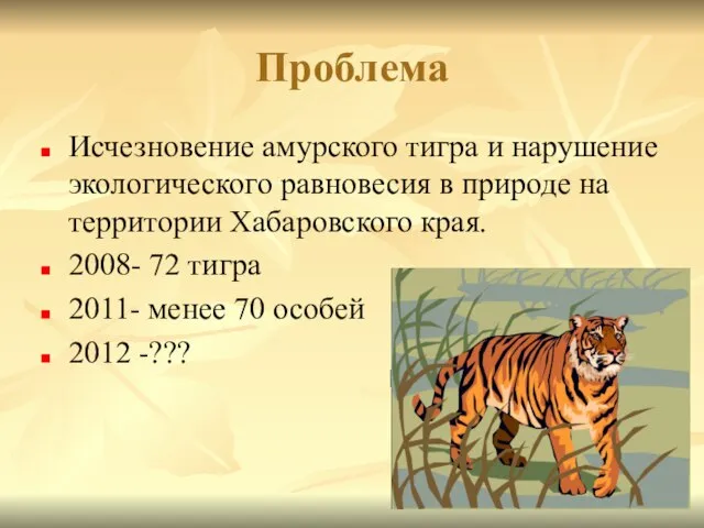 Проблема Исчезновение амурского тигра и нарушение экологического равновесия в природе на территории