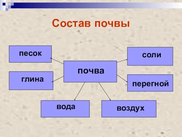 Состав почвы песок глина почва соли перегной вода воздух