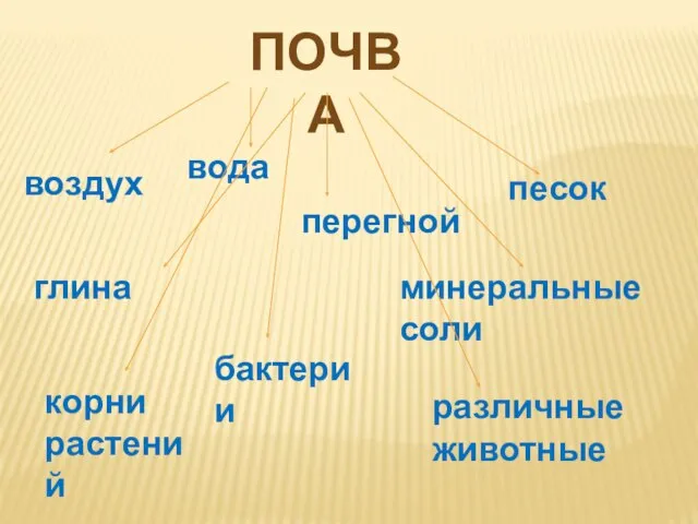 почва воздух вода песок перегной глина минеральные соли корни растений бактерии различные животные