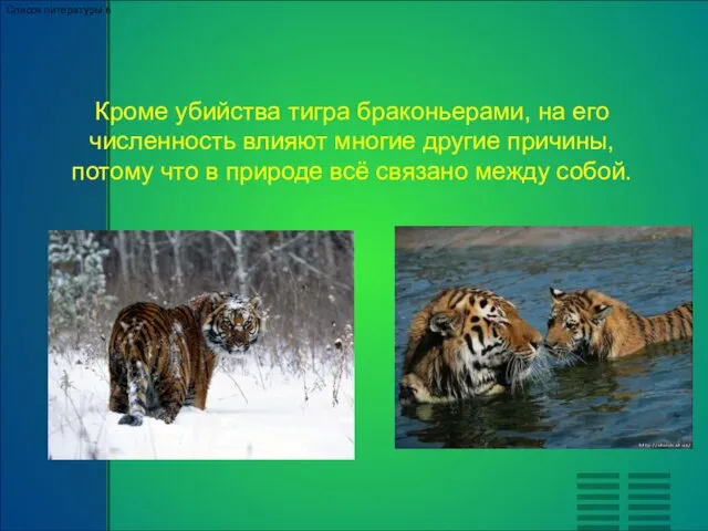 Кроме убийства тигра браконьерами, на его численность влияют многие другие причины, потому