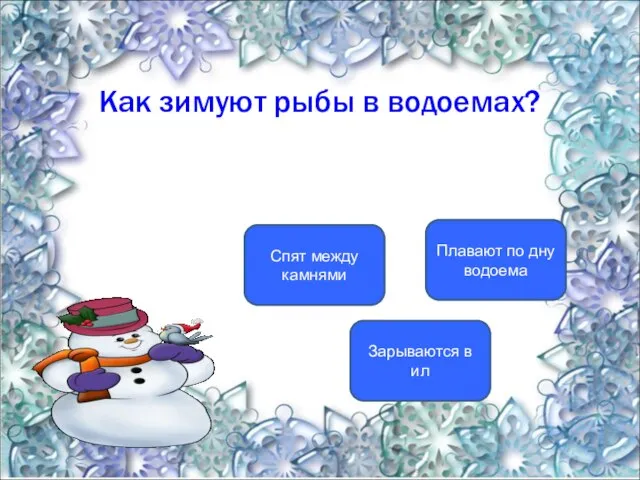 Как зимуют рыбы в водоемах? Зарываются в ил Спят между камнями Плавают по дну водоема