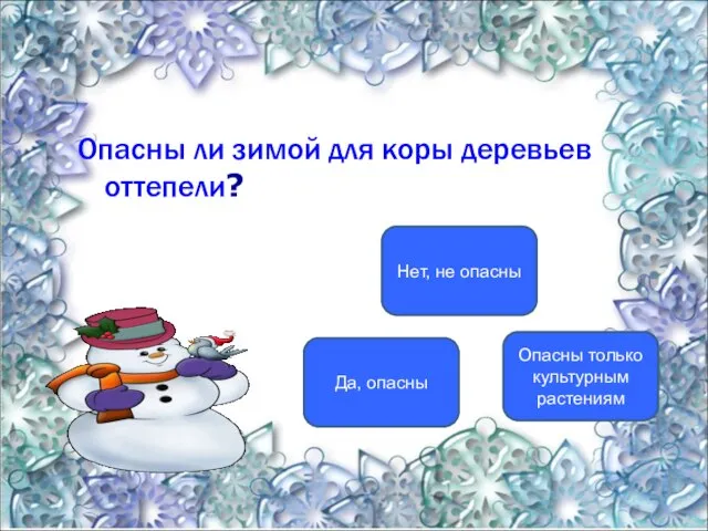 Опасны ли зимой для коры деревьев оттепели? Да, опасны Нет, не опасны Опасны только культурным растениям