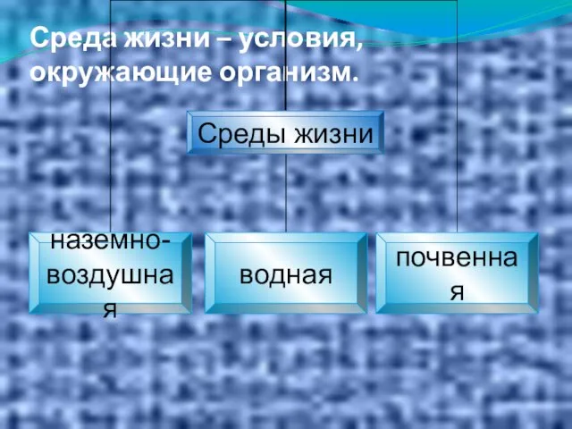 Среда жизни – условия, окружающие организм.