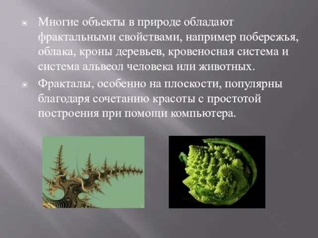 Многие объекты в природе обладают фрактальными свойствами, например побережья, облака, кроны деревьев,