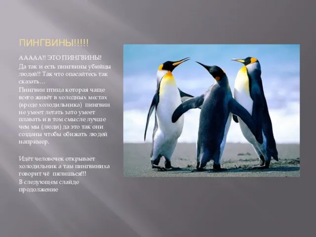 ПИНГВИНЫ!!!!! ААААА!! ЭТО ПИНГВИНЫ! Да так и есть пингвины убийцы людей!! Так
