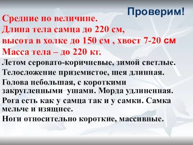 Проверим! Средние по величине. Длина тела самца до 220 см, высота в