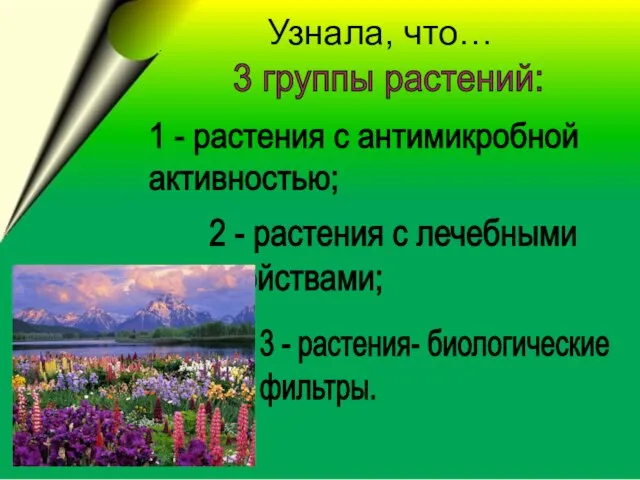 3 группы растений: 1 - растения с антимикробной активностью; 2 - растения