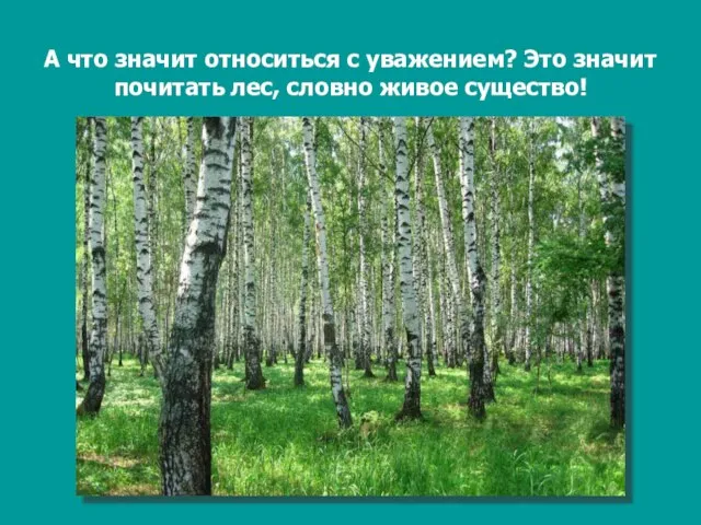 А что значит относиться с уважением? Это значит почитать лес, словно живое существо!