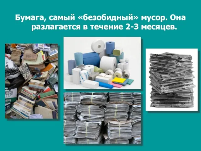 Бумага, самый «безобидный» мусор. Она разлагается в течение 2-3 месяцев.