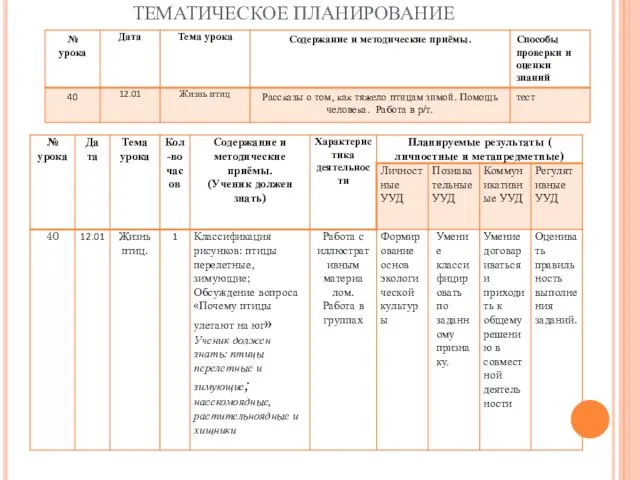 ТЕМАТИЧЕСКОЕ ПЛАНИРОВАНИЕ