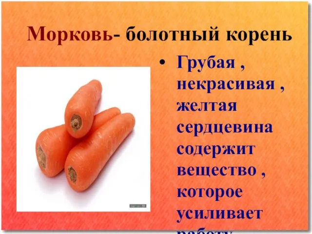 Морковь- болотный корень Грубая , некрасивая , желтая сердцевина содержит вещество ,которое