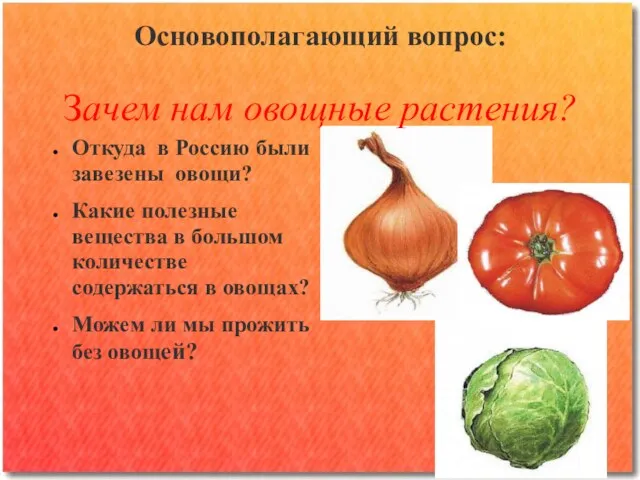 Основополагающий вопрос: Зачем нам овощные растения? Откуда в Россию были завезены овощи?