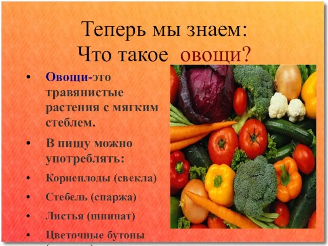 Теперь мы знаем: Что такое овощи? Овощи-это травянистые растения с мягким стеблем.