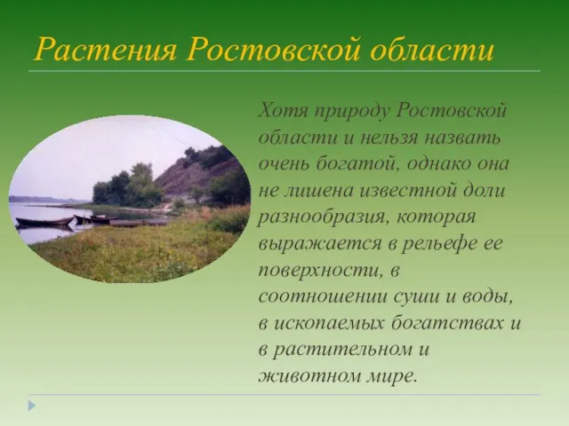 Растения Ростовской области Хотя природу Ростовской области и нельзя назвать очень богатой,