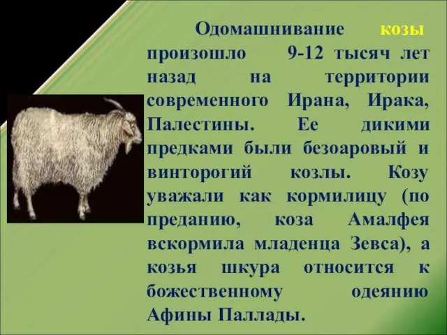 Одомашнивание козы произошло 9-12 тысяч лет назад на территории современного Ирана, Ирака,
