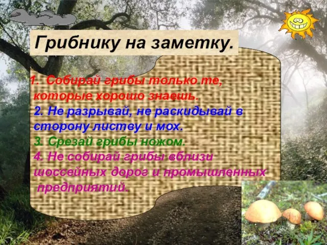 Собирай грибы только те, которые хорошо знаешь. 2. Не разрывай, не раскидывай