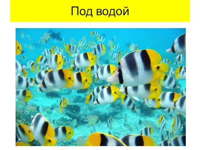 Под водой