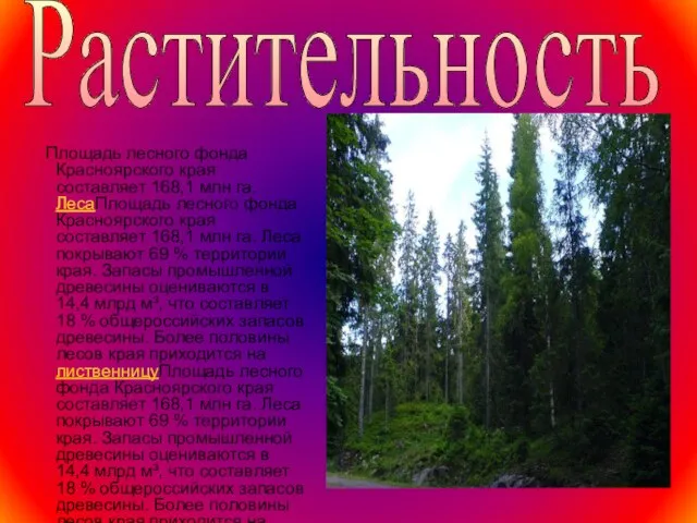 Площадь лесного фонда Красноярского края составляет 168,1 млн га. ЛесаПлощадь лесного фонда