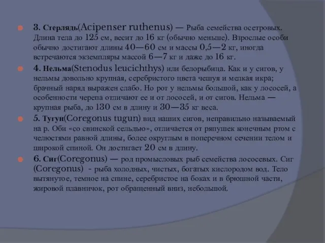 3. Стерлядь(Acipenser ruthenus) — Рыба семейства осетровых. Длина тела до 125 см,