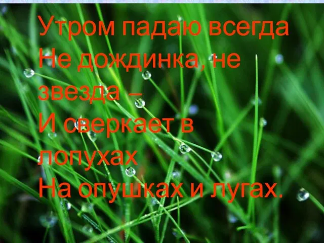 Утром падаю всегда Не дождинка, не звезда – И сверкает в лопухах На опушках и лугах.