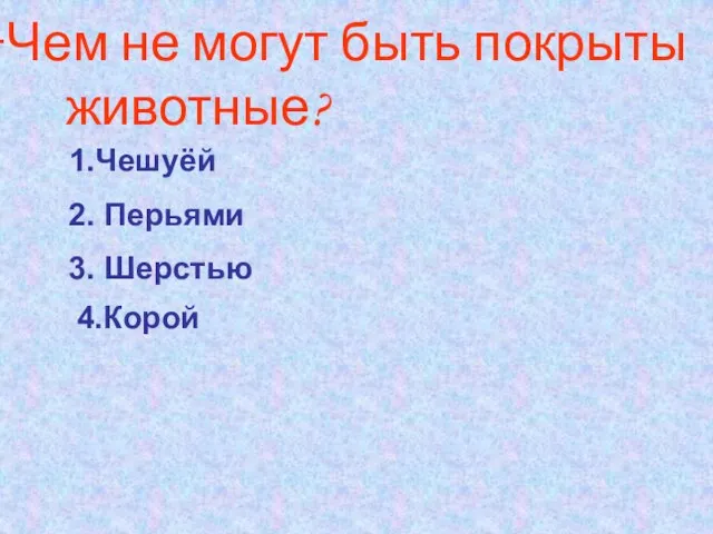 Чем не могут быть покрыты животные? 1.Чешуёй 2. Перьями 3. Шерстью 4.Корой