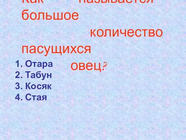 Как называется большое количество пасущихся овец? Отара Табун Косяк Стая