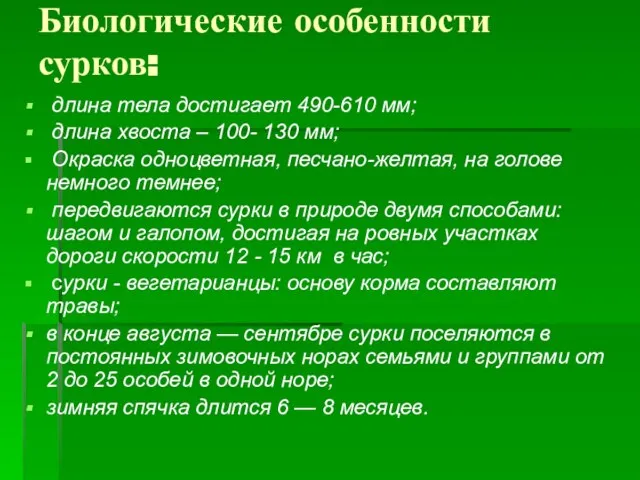 Биологические особенности сурков: длина тела достигает 490-610 мм; длина хвоста – 100-