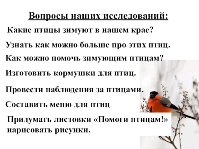 Вопросы наших исследований: Какие птицы зимуют в нашем крае? Как можно помочь