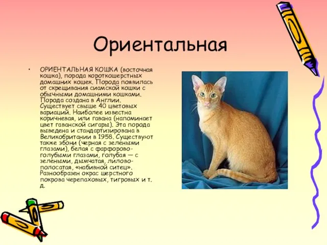 Ориентальная ОРИЕНТАЛЬНАЯ КОШКА (восточная кошка), порода короткошерстных домашних кошек. Порода появилась от