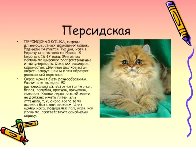 Персидская ПЕРСИДСКАЯ КОШКА, порода длинношерстных домашних кошек. Родиной считается Турция, хотя в