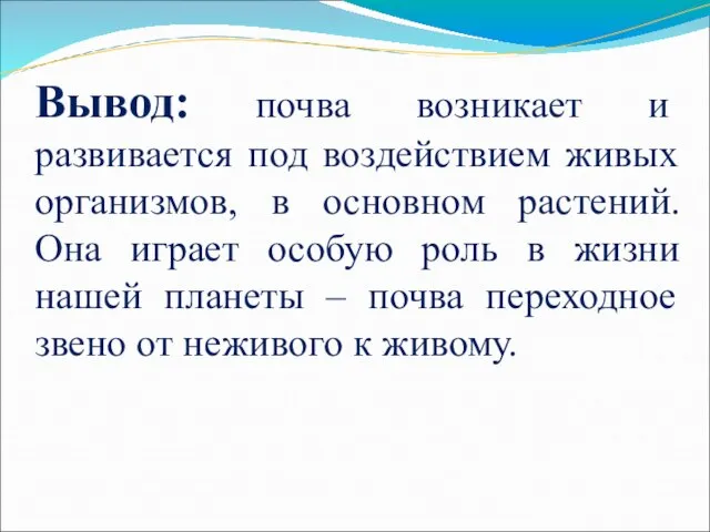 Вывод: почва возникает и развивается под воздействием живых организмов, в основном растений.