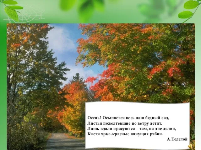 Осень! Осыпается весь наш бедный сад, Листья пожелтевшие по ветру летят. Лишь