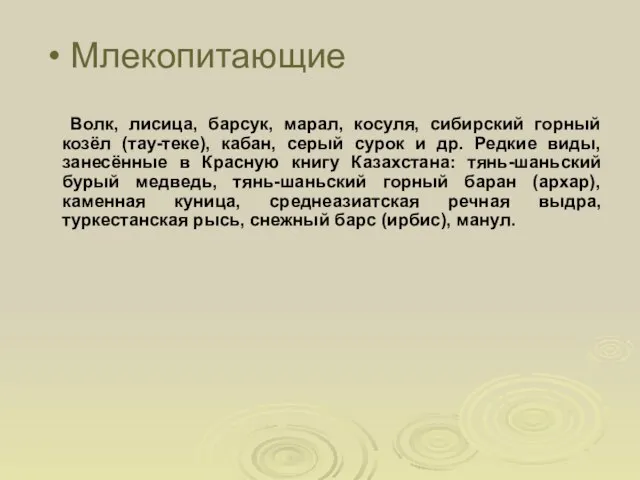 Млекопитающие Волк, лисица, барсук, марал, косуля, сибирский горный козёл (тау-теке), кабан, серый