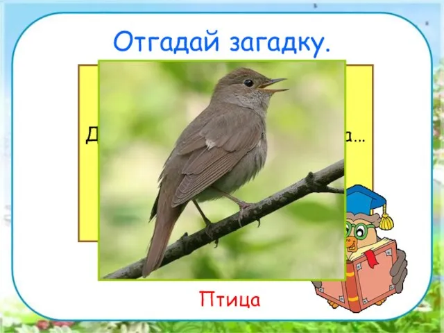 Отгадай загадку. Снится ночью пауку Чудо-юдо на суку, Длинный клюв и два