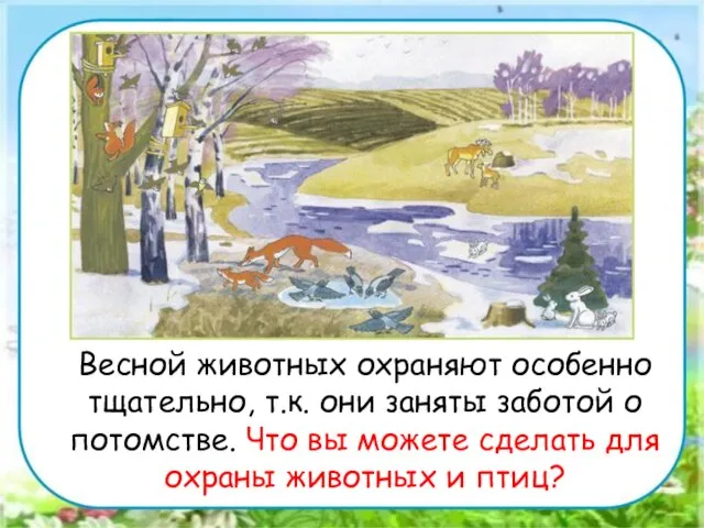 Весной животных охраняют особенно тщательно, т.к. они заняты заботой о потомстве. Что