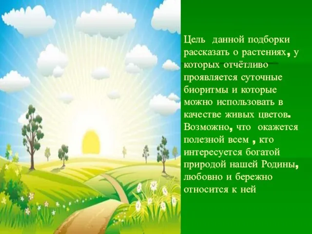 Цель данной подборки рассказать о растениях, у которых отчётливо проявляется суточные биоритмы