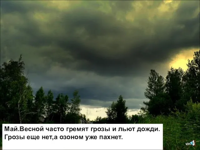 Май.Весной часто гремят грозы и льют дожди. Грозы еще нет,а озоном уже пахнет.