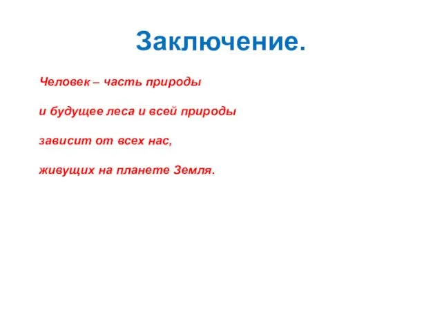 Заключение. Человек – часть природы и будущее леса и всей природы зависит