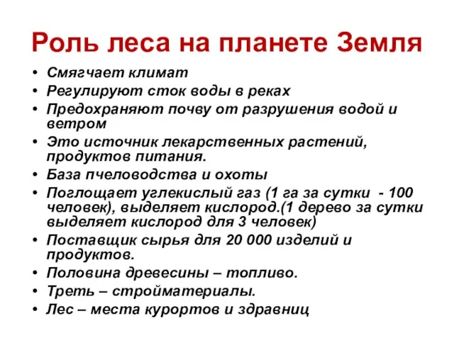 Роль леса на планете Земля Смягчает климат Регулируют сток воды в реках