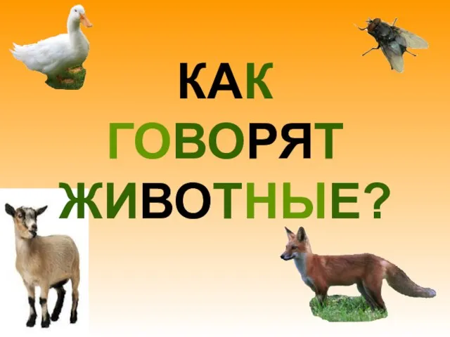 КАК ГОВОРЯТ ЖИВОТНЫЕ?