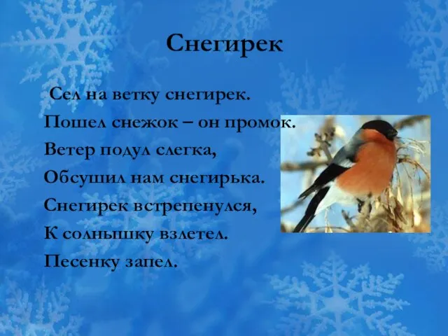 Снегирек Сел на ветку снегирек. Пошел снежок – он промок. Ветер подул