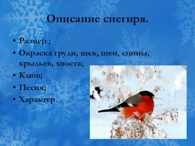 Описание снегиря. Размер ; Окраска груди, щек, шеи, спины, крыльев, хвоста; Клюв; Песня; Характер.