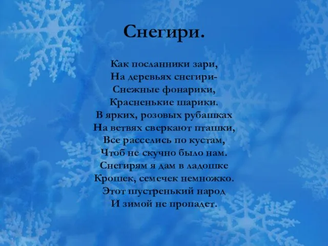 Снегири. Как посланники зари, На деревьях снегири- Снежные фонарики, Красненькие шарики. В