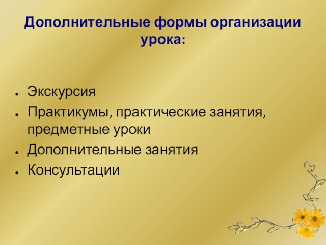 Дополнительные формы организации урока: Экскурсия Практикумы, практические занятия, предметные уроки Дополнительные занятия Консультации