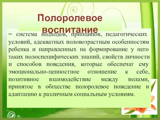 – система подходов, принципов, педагогических условий, адекватных половозрастным особенностям ребенка и направленных