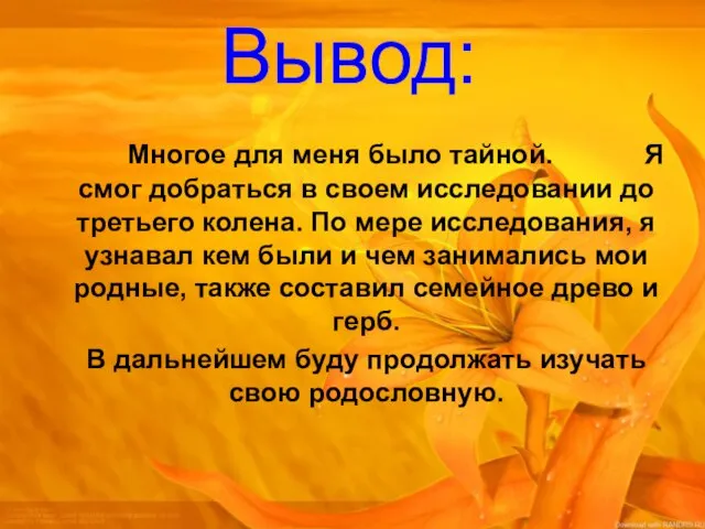 Вывод: Многое для меня было тайной. Я смог добраться в своем исследовании